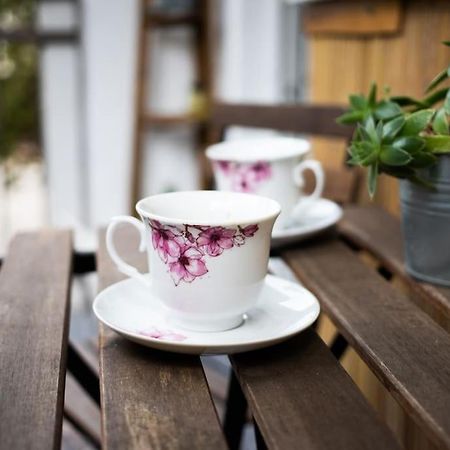 Cozy Cluj-Napoca Apartment In A Quiet Area Экстерьер фото