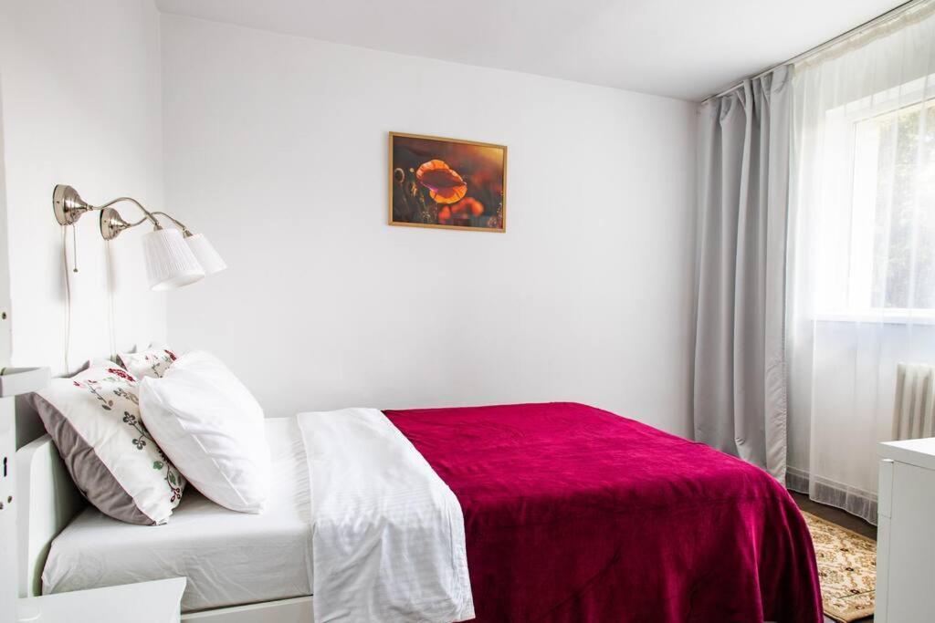 Cozy Cluj-Napoca Apartment In A Quiet Area Экстерьер фото